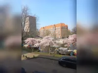 Amstelkade, Amsterdam