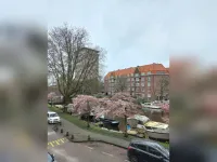 Amstelkade, Amsterdam