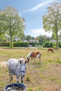 Ingstraat 2, Leveroy