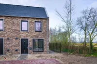 Kastanjehout, Julianadorp