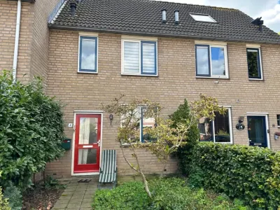 Klaver , 6566HN, Millingen aan de Rijn, Gelderland