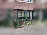 Van Speijkstraat, Amsterdam