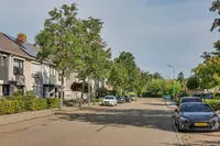 Wilgestraat 22, 's-gravenpolder
