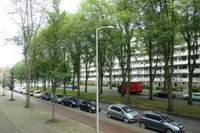 Volendamlaan, Den Haag