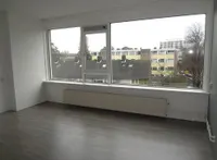 Van Banchemhof, Leiden