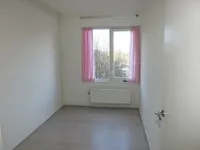 Schollevaartse Dreef, Rotterdam