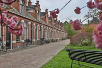 Petrus Campersingel, Groningen