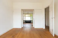 Mient, Den Haag