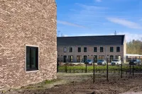 Kastanjehout, Julianadorp