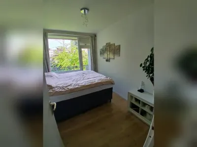 Kastanjesingel , 3053HS, Rotterdam, Zuid-Holland