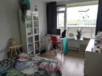 Zernikeplaats, Rotterdam