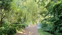 Vlaanderenstraat 29, Alkmaar