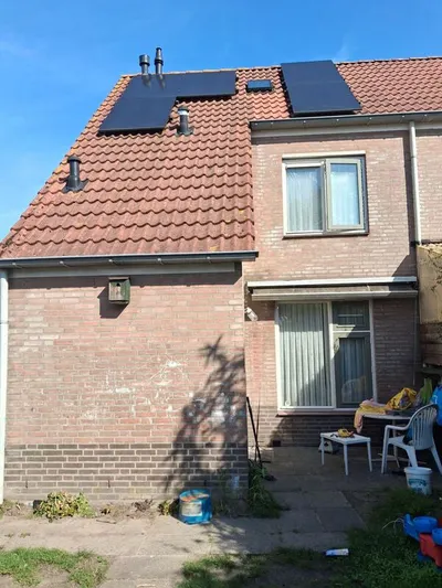 Rogge , 5491NM, Sint-Oedenrode, Noord-Brabant