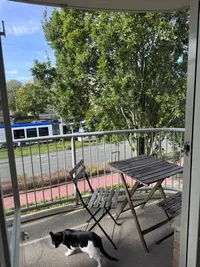 Merellaan, Rijswijk