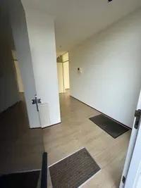 Wijnstraat, Echt