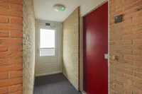 Smeetsmastins, Leeuwarden