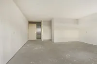 Smeetsmastins, Leeuwarden