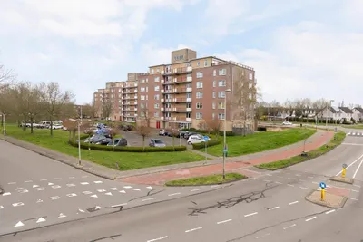Smeetsmastins , 8925GV, Leeuwarden, Friesland