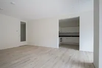 Punt Sniep, Diemen
