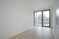 Punt Sniep, Diemen