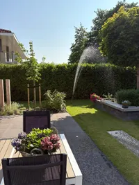 Zomer, Dronten