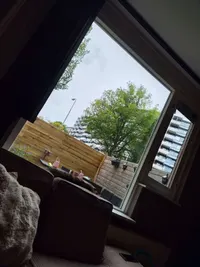 Laveibos, Zoetermeer
