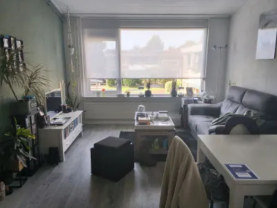 Maartensheem , 2181DN, Hillegom, Zuid-Holland