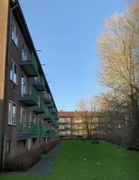 Lijns Tewisz Roggeplein, Zaandam