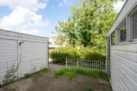 Koraalrif, Lelystad