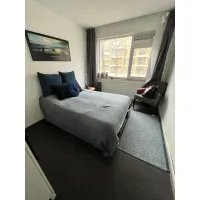Werengouw, Amsterdam