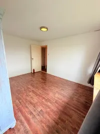 Laan van het Kwekebos, Emmen