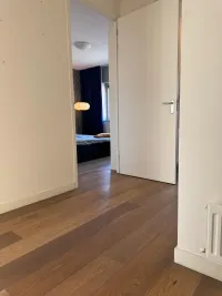 Philips de Goedelaan, Eindhoven