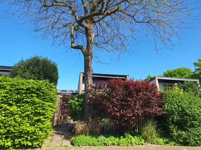Buizerdstraat 12, 4143BA, Leerdam, Utrecht