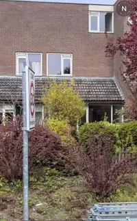 Tulpstraat, Steenwijk