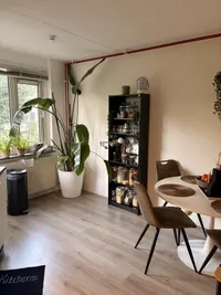 Veeartsenijstraat, Utrecht