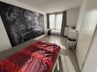 Meerval, Amersfoort