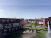 Meerval, Amersfoort