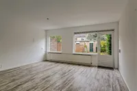 Damastroos, Rotterdam