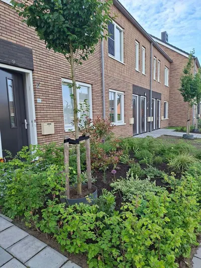 P C Hooftstraat , 3881KC, Putten, Gelderland