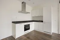 Loevesteinlaan, Den Haag