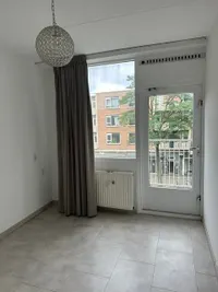 Papegaaistraat, Rotterdam