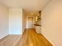 Laakweg, Den Haag