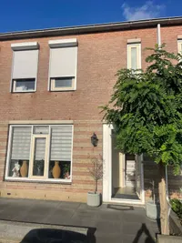 Fazant, Heemskerk