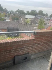 Bereklauw, Kampen