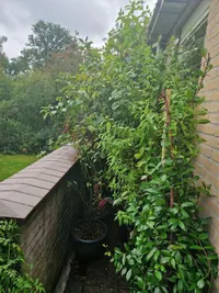 Jean-Landréhof, Laren