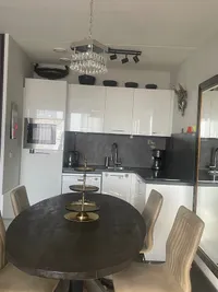 Harriët Freezerhof, Den Haag