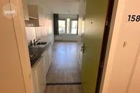 Ringslangpad, Amsterdam