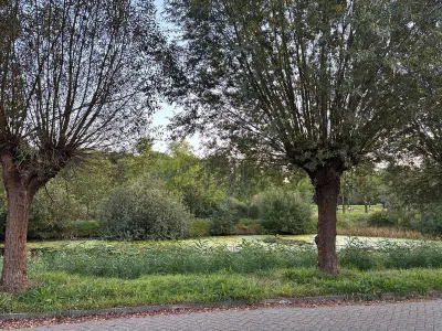 Lijsterbeslaan , 7421AR, Deventer, Overijssel