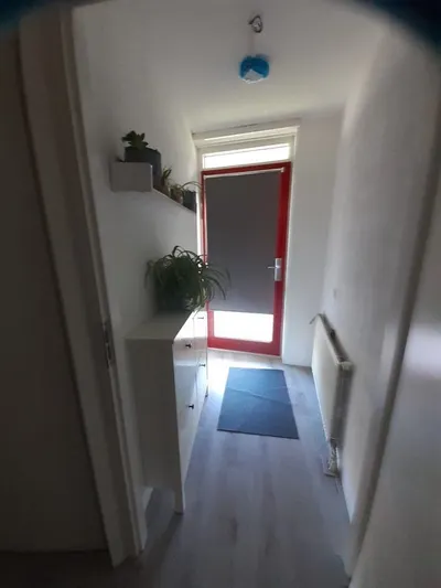Wingerdweg , 1031CA, Amsterdam, Noord-Holland