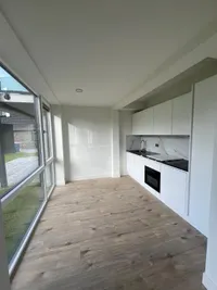 Nijveenlaan, Wildervank